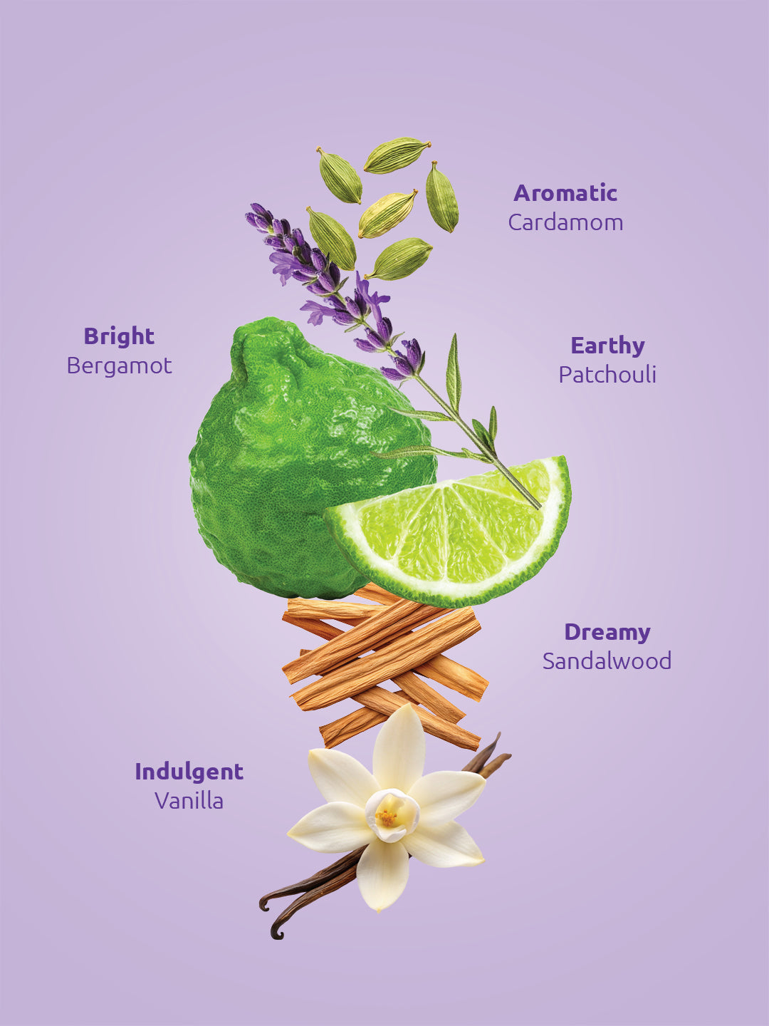 Forever Warm Cologne