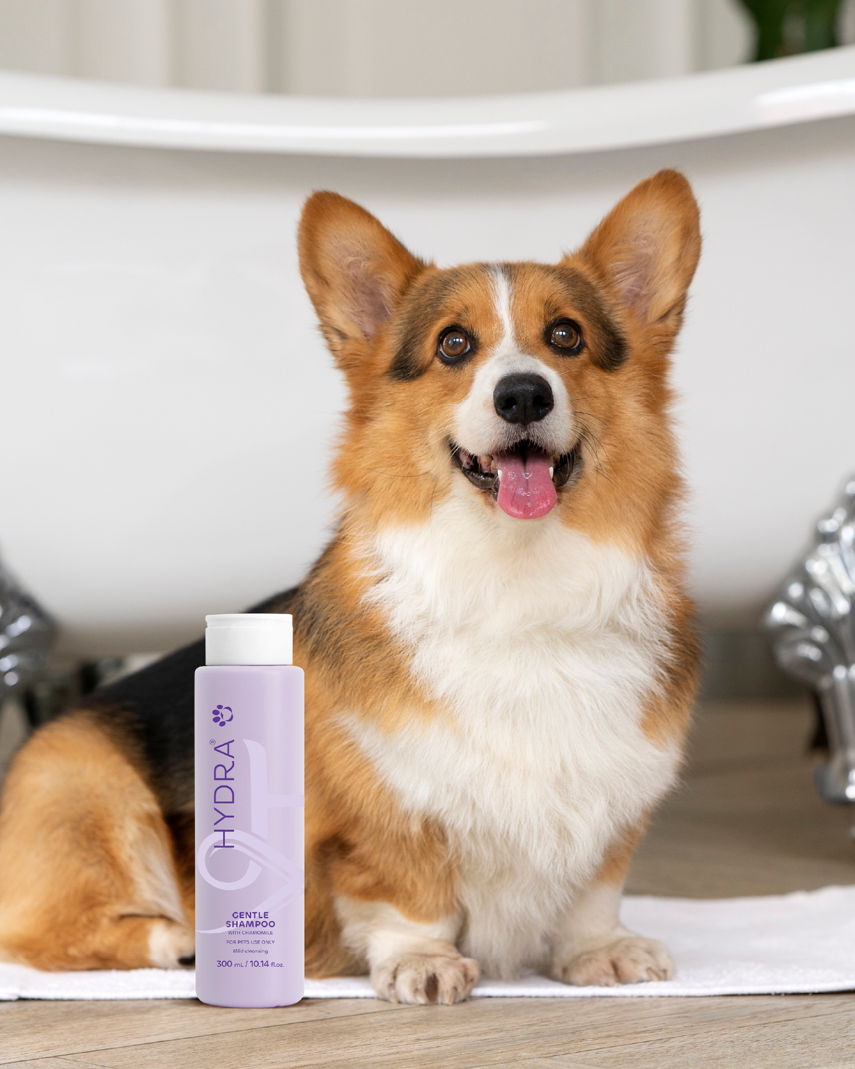 Hydra Gentle Shampoo