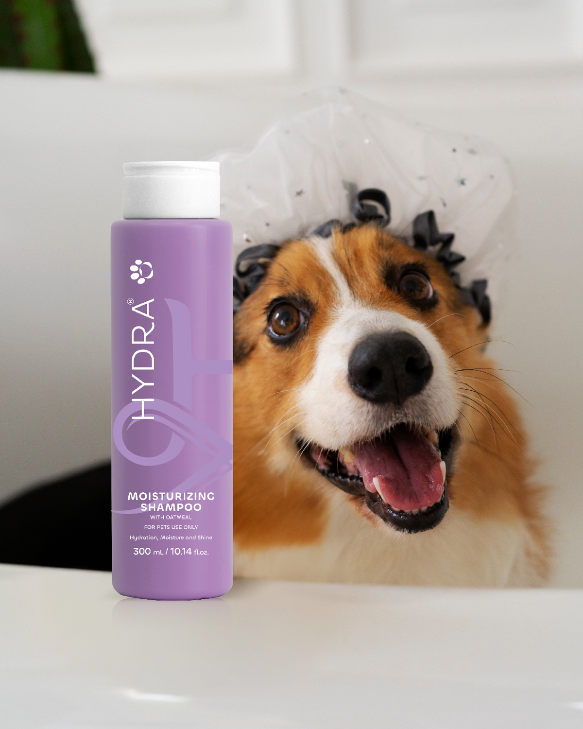 Hydra Moisturizing Shampoo – Hydra Pet Care