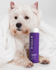 Shampoo Clareador Hydra
